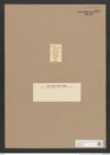 Navicula sp. (de-Toni-Nr.: Genus 1) Zeichnungen Sammlung Grunow Nr. 1356 (NHMW-BOT-W0368299)